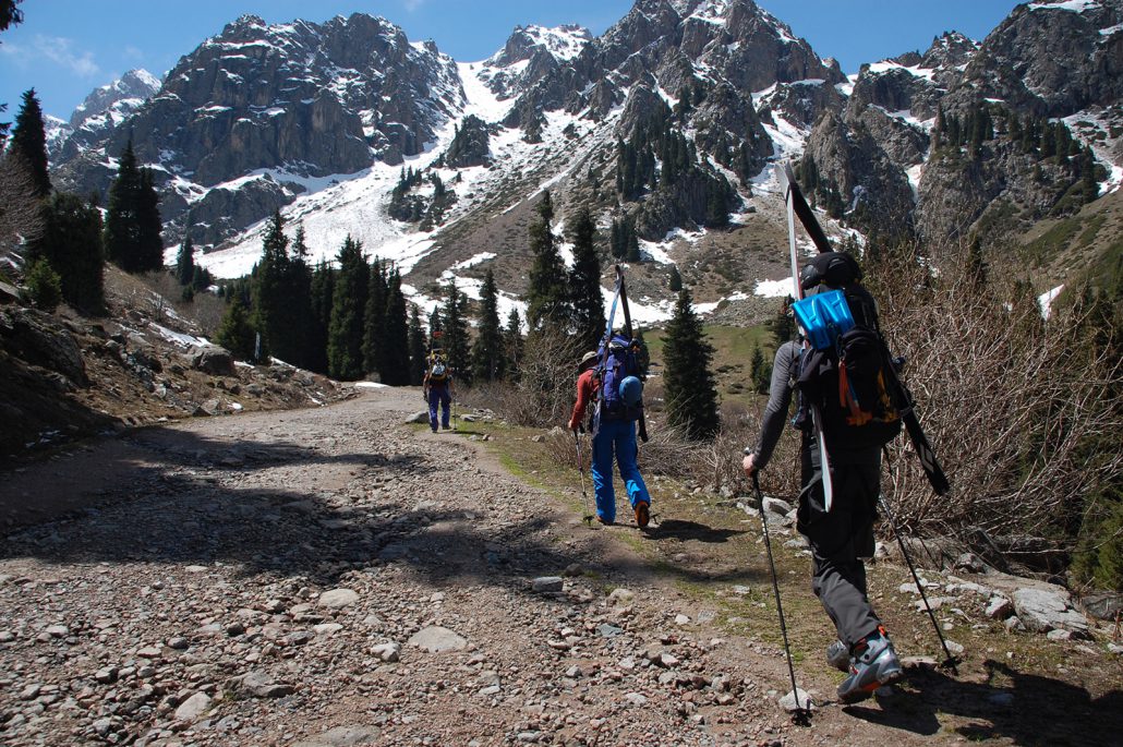Природные и активные туры