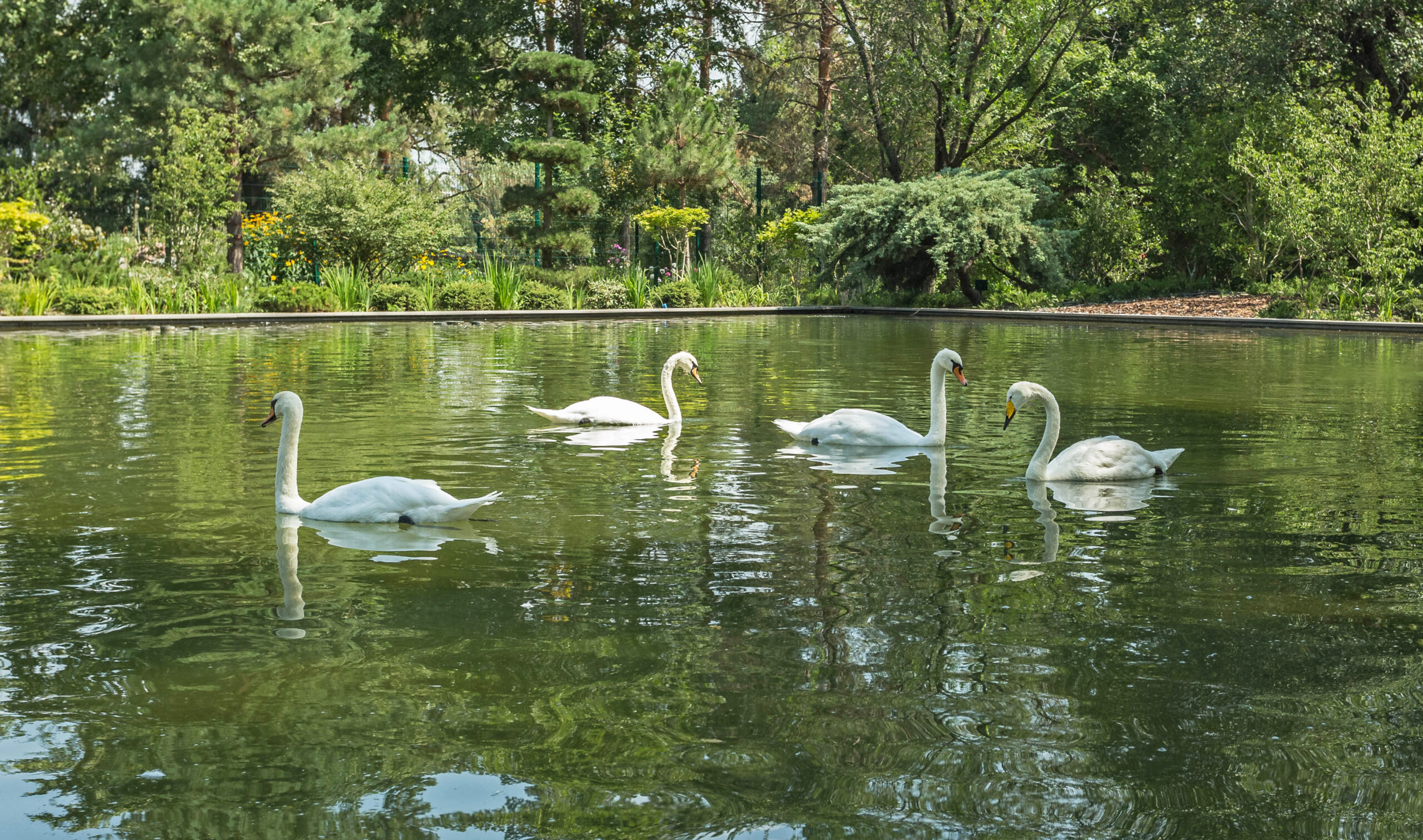 Экскурсии для семей и детей