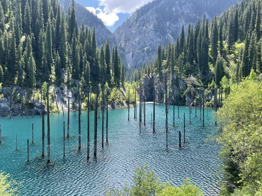 Загородные и природные экскурсии