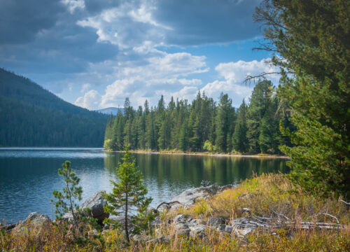 АЛТАЙ - Тур  Алматы и Алтай (8 дней)