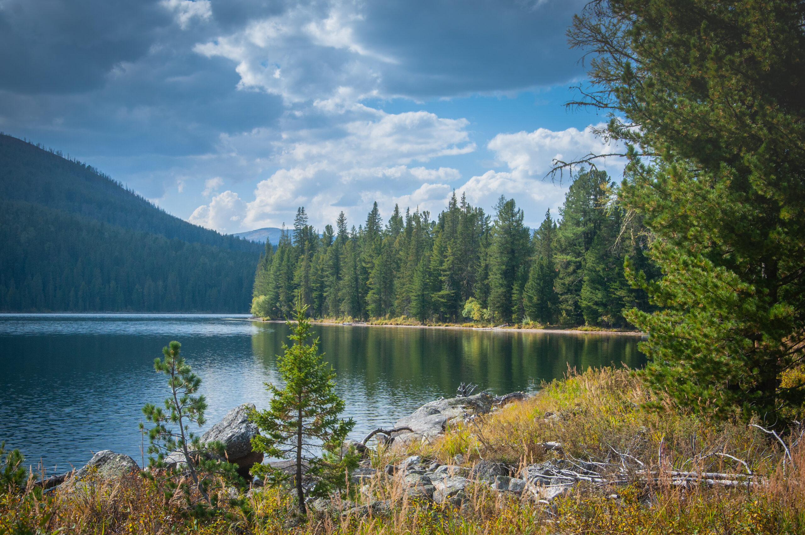 АЛТАЙ - Тур  Алматы и Алтай (8 дней)