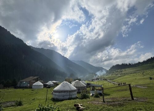 Ethno Yurt Camp