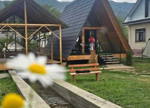 A-Frame Forest House